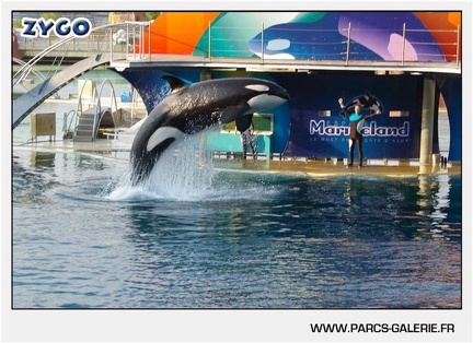 Marineland - Orques - Spectacle - 18h30 - 1182
