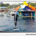 Marineland - Orques - Spectacle - 18h30 - 1183