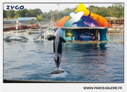 Marineland - Orques - Spectacle - 18h30 - 1183