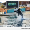 Marineland - Orques - Spectacle - 18h30 - 1184