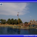 Marineland - Dauphins - Spectacle - Beach Party - 1503