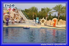 Marineland - Dauphins - Spectacle - Beach Party - 1518