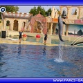 Marineland - Dauphins - Spectacle - Beach Party - 1521