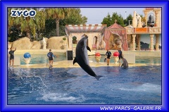 Marineland - Dauphins - Spectacle - Beach Party - 1522