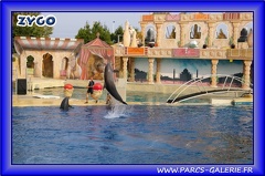 Marineland - Dauphins - Spectacle - Beach Party - 1523