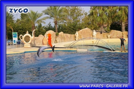 Marineland - Dauphins - Spectacle - Beach Party - 1524