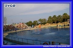 Marineland - Dauphins - Spectacle - Beach Party - 1526