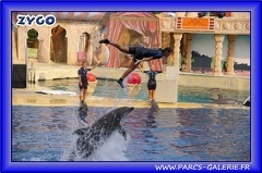 Marineland - Dauphins - Spectacle - Beach Party - 1527