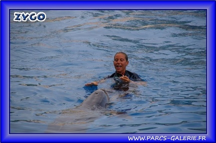 Marineland - Dauphins - Spectacle - Beach Party - 1529