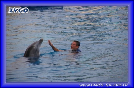 Marineland - Dauphins - Spectacle - Beach Party - 1530