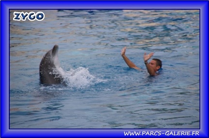 Marineland - Dauphins - Spectacle - Beach Party - 1531