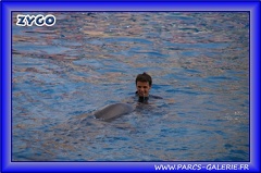 Marineland - Dauphins - Spectacle - Beach Party - 1532
