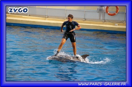 Marineland - Dauphins - Spectacle - Beach Party - 1534