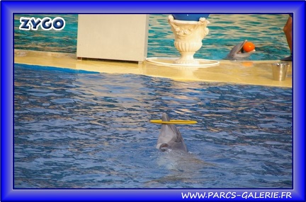 Marineland - Dauphins - Spectacle - Beach Party - 1536