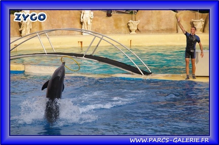 Marineland - Dauphins - Spectacle - Beach Party - 1537
