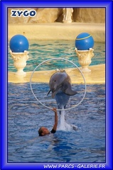 Marineland - Dauphins - Spectacle - Beach Party - 1538