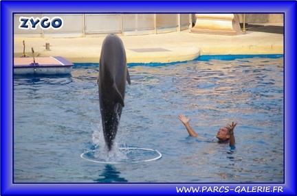 Marineland - Dauphins - Spectacle - Beach Party - 1539