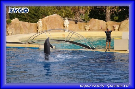 Marineland - Dauphins - Spectacle - Beach Party - 1540