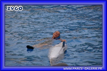 Marineland - Dauphins - Spectacle - Beach Party - 1542