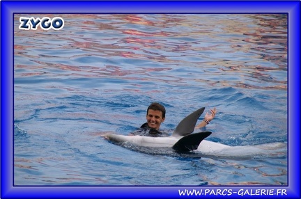 Marineland - Dauphins - Spectacle - Beach Party - 1546