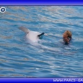 Marineland - Dauphins - Spectacle - Beach Party - 1548