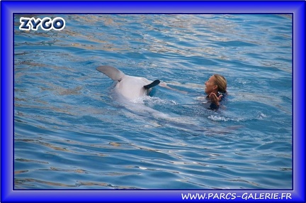 Marineland - Dauphins - Spectacle - Beach Party - 1548