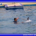 Marineland - Dauphins - Spectacle - Beach Party - 1549