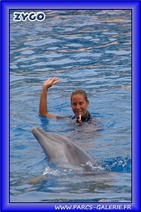 Marineland - Dauphins - Spectacle - Beach Party - 1551