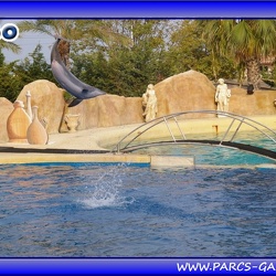 Marineland - Dauphins - Spectacle - Beach Party