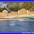 Marineland - Dauphins - Spectacle - Beach Party - 1554