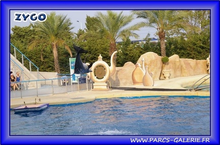 Marineland - Dauphins - Spectacle - Beach Party - 1556