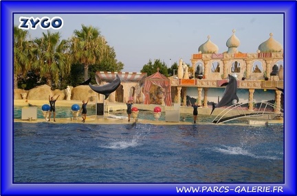 Marineland - Dauphins - Spectacle - Beach Party - 1557