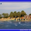 Marineland - Dauphins - Spectacle - Beach Party - 1559
