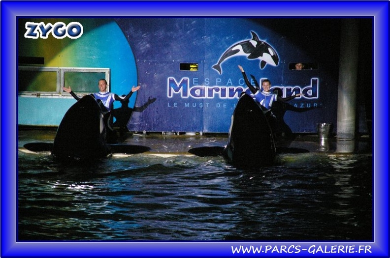Marineland_-_Orques_-_Spectacle_-_Imagine_-_1573.jpg