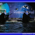Marineland - Orques - Spectacle - Imagine - 1573