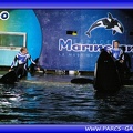 Marineland - Orques - Spectacle - Imagine - 1574