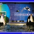 Marineland - Orques - Spectacle - Imagine - 1576