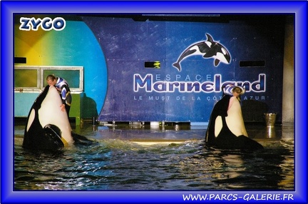 Marineland - Orques - Spectacle - Imagine - 1577