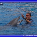 Marineland - Dauphins - Spectacle - Beach Party - 1773