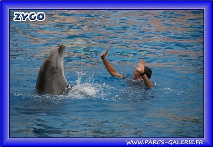 Marineland - Dauphins - Spectacle - Beach Party - 1774