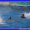Marineland - Dauphins - Spectacle - Beach Party - 1775