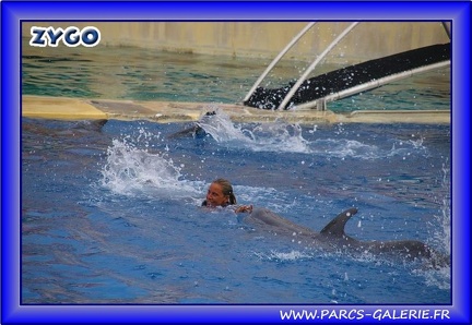 Marineland - Dauphins - Spectacle - Beach Party - 1776