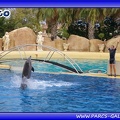 Marineland - Dauphins - Spectacle - Beach Party - 1788