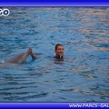 Marineland - Dauphins - Spectacle - Beach Party - 1795