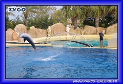 Marineland - Dauphins - Spectacle - Beach Party - 1798