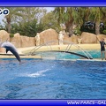 Marineland - Dauphins - Spectacle - Beach Party - 1798