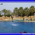 Marineland - Dauphins - Spectacle - Beach Party - 1800