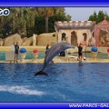 Marineland - Dauphins - Spectacle - Beach Party - 1801