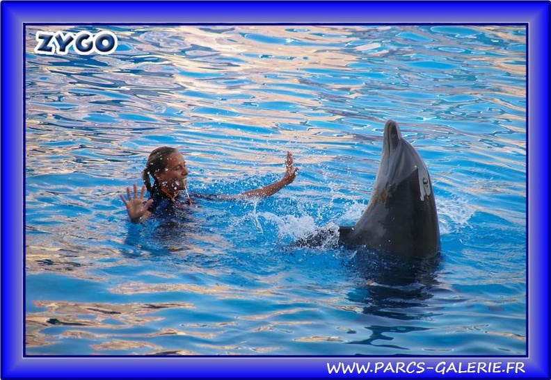 Marineland_-_Dauphins_-_Spectacle_-_Beach_Party_-_1953.jpg