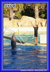 Marineland - Dauphins - Spectacle - Beach Party - 1964